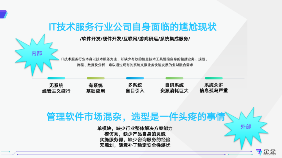 IT技术服务行业系统选择的内部情况